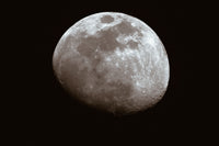 The Waxing Gibbous Moon (Specialty)