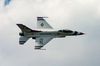 Thunderbird In Flight (Specialty)