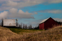 Old Red Barn (Specialty)