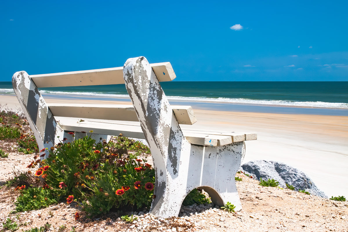 The Weathered Bench