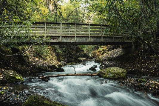 McHugh Creek