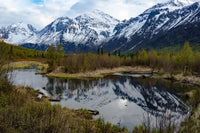 Alaskan Winterscape (Specialty)