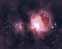 The Orion Nebula (Specialty)