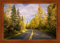 Fall Road (Framed)