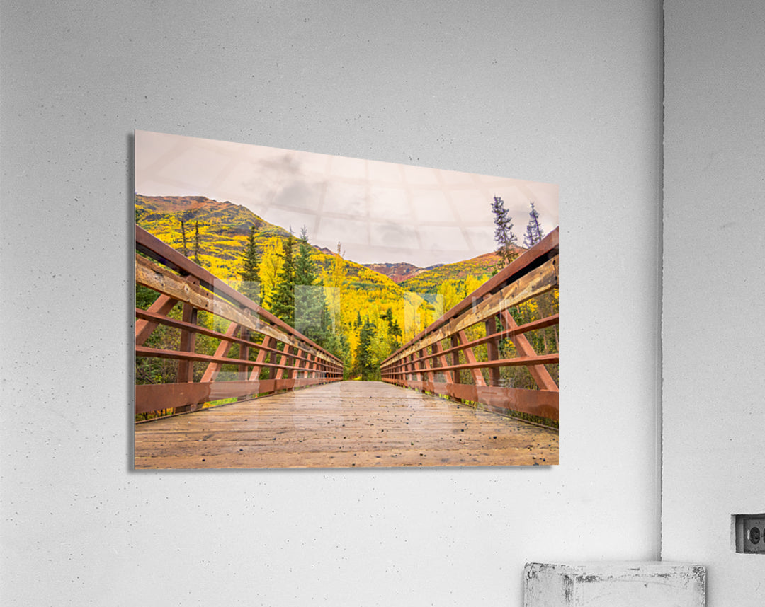 Acrylic Print