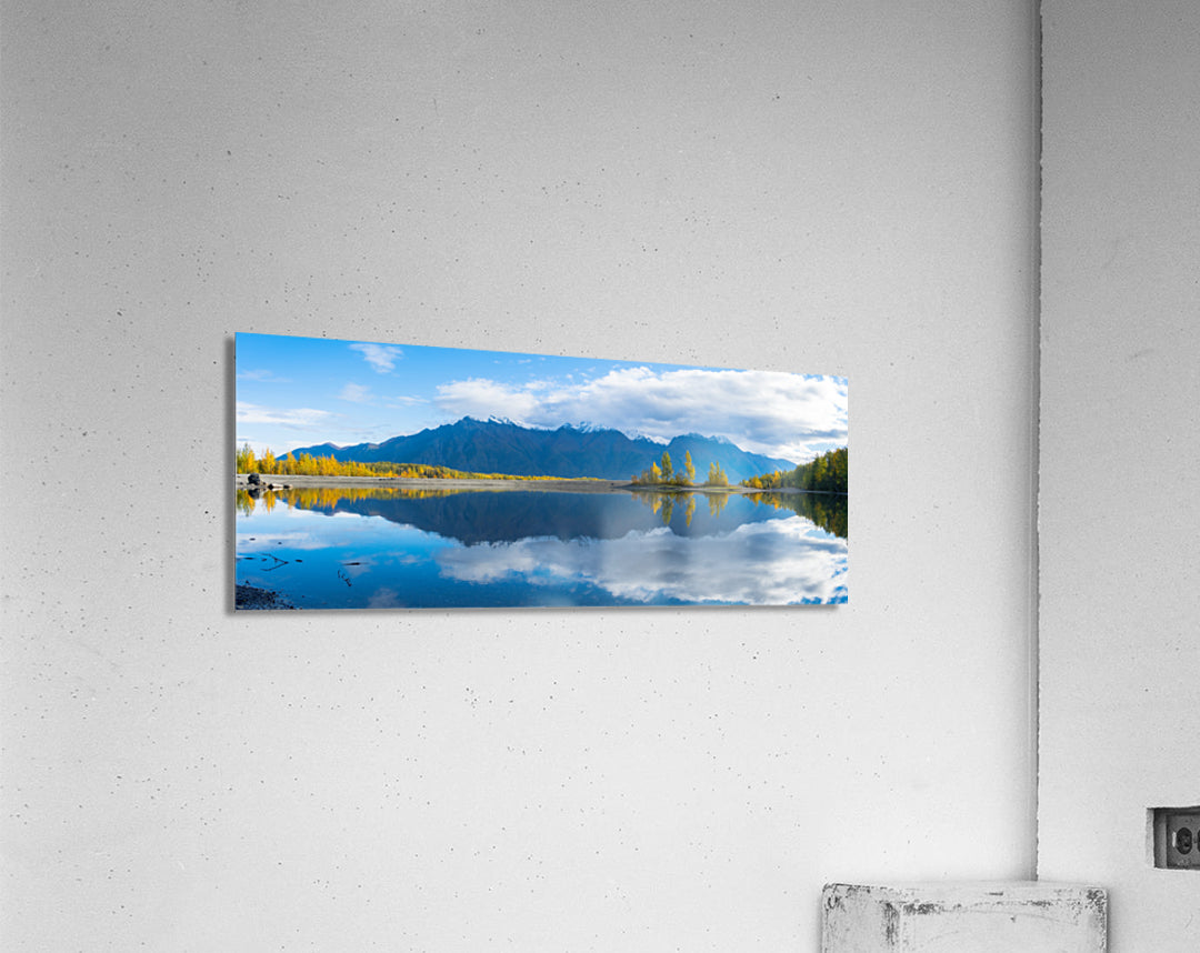 Acrylic Print