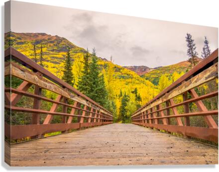 Giclée Stretched Canvas Print