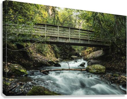 Giclée Stretched Canvas Print