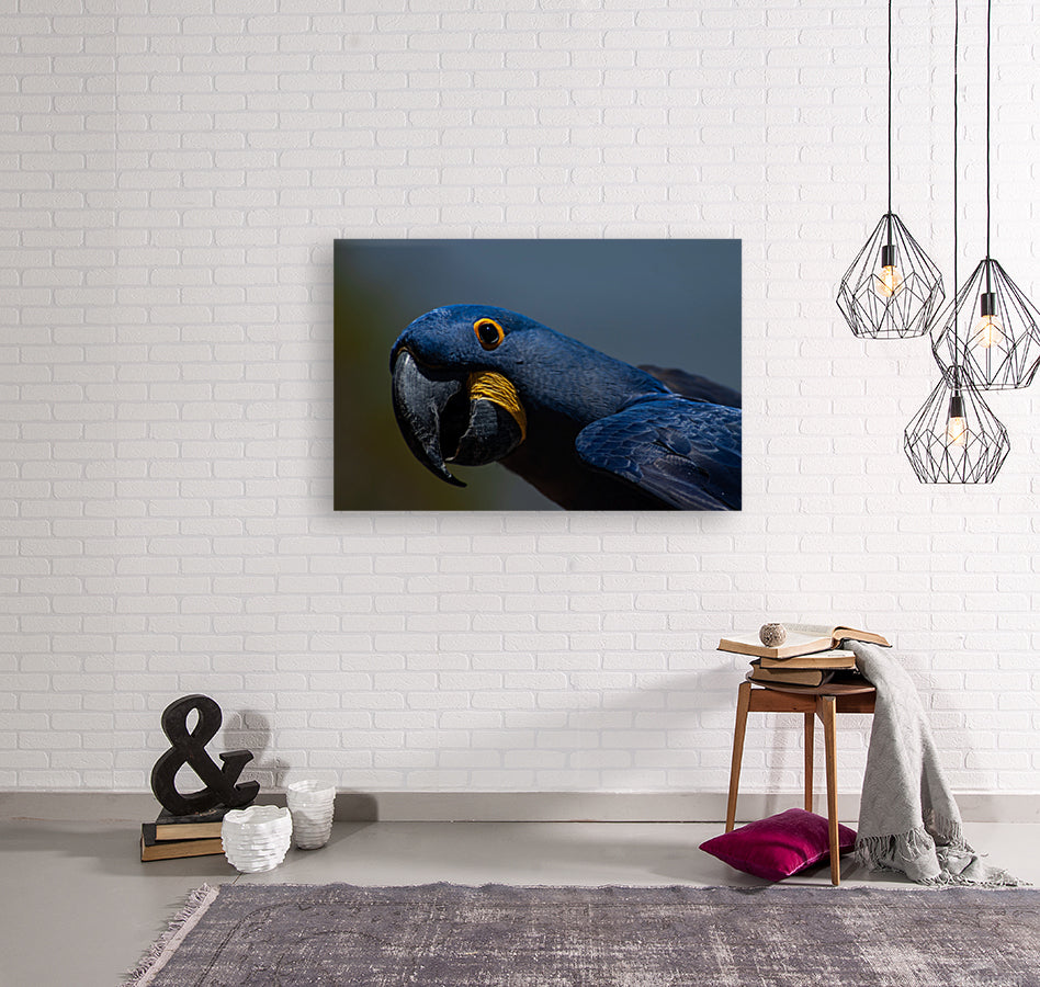 Giclée Stretched Canvas Print