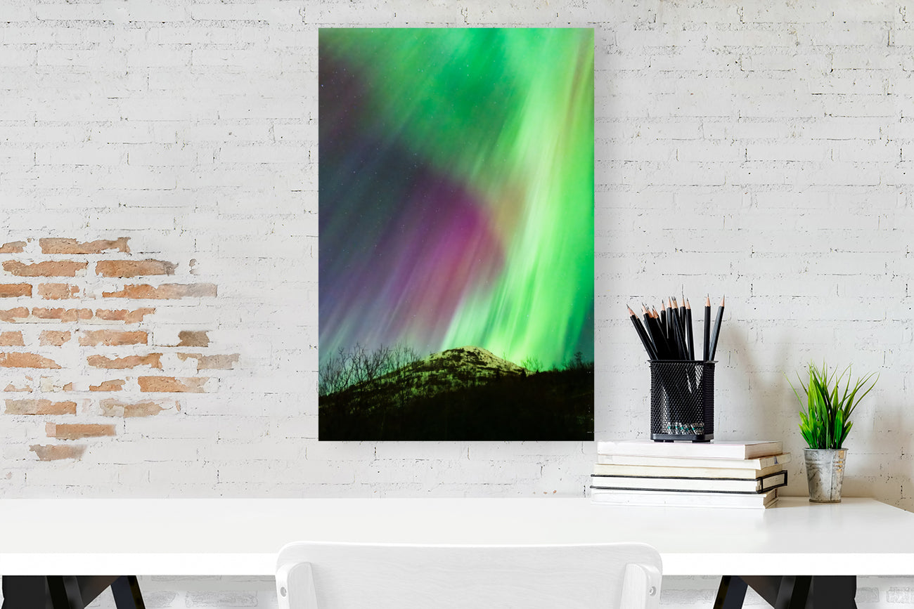 Giclée Stretched Canvas Print